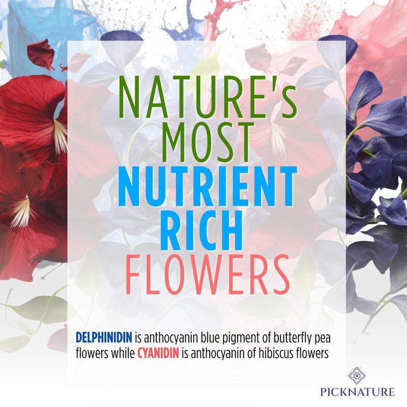 Organic Purple Hibiscus and Butterfly Pea Flower Tea